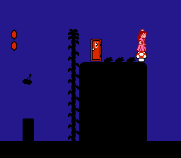 Super Mario Bros. 2 - NES - Sub Space.png
