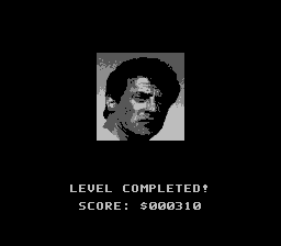 Cliffhanger - NES - Stage Completed.png