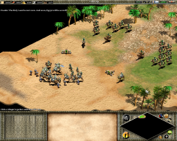 Age of Empires 2 - W32 - Saladin.png