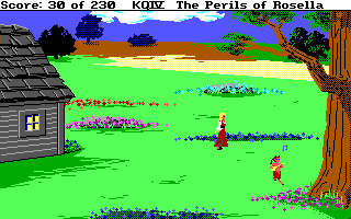 King's Quest 4 - DOS - Pan Play's Lute.png