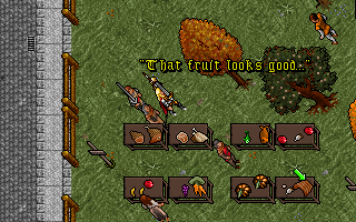 Ultima 7 - DOS - Market Place.png